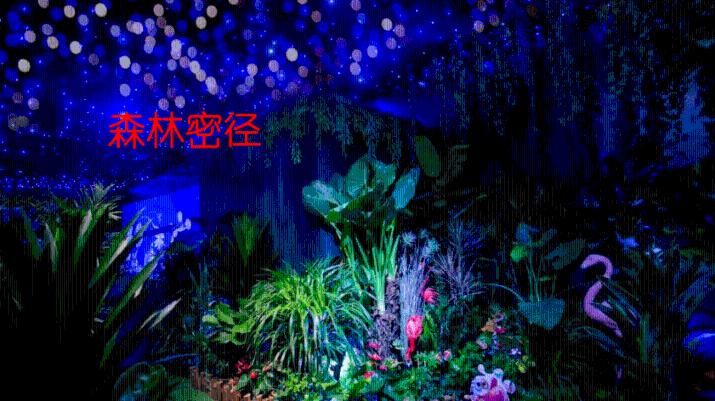 豆腐馅儿包子怎么调知识星球平台-你的最佳学习资源